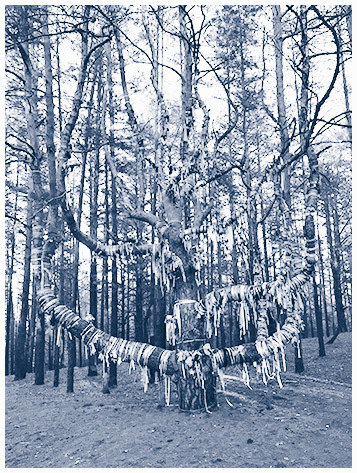 Мифы Поволжья. От Волчьего владыки и Мирового древа до культа змей и птицы счастья - i_076.jpg