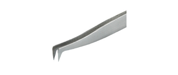 Lash Expert. Методическое пособие - image6_621744fe47868b000724aaef_jpg.jpeg