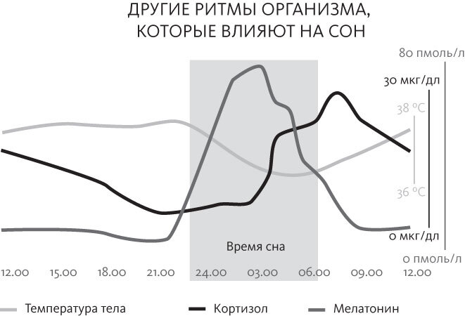 Спать и высыпаться - i_011.jpg