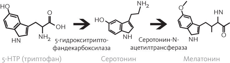 Спать и высыпаться - i_012.jpg