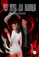 43 дня до конца (СИ) - автор Валарис Эмбер 