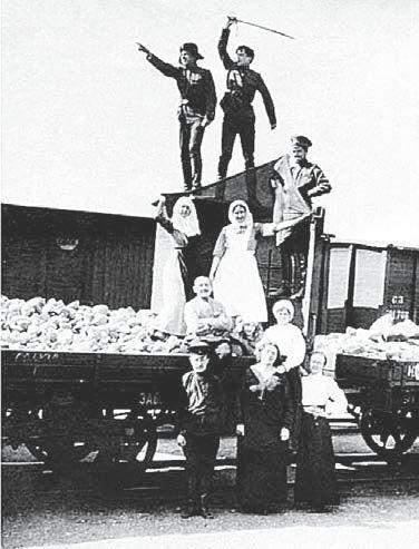 Одноколыбельники - img_35