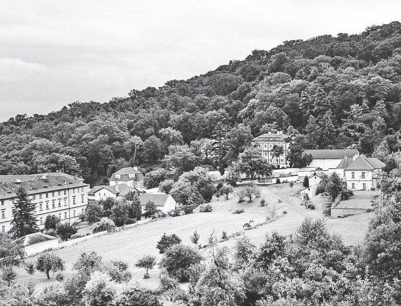 Одноколыбельники - img_44