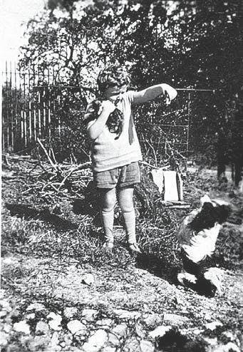 Одноколыбельники - img_47