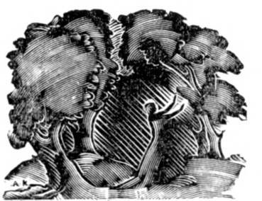 Окассен и Николет - _26.jpg