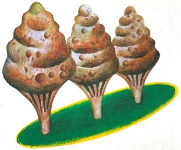 Приключения Чикарели (СИ) - i_057.jpg