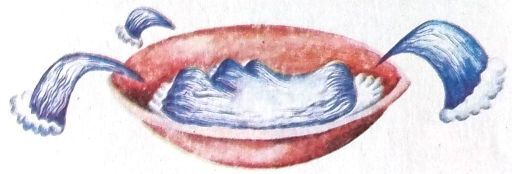 Приключения Чикарели (СИ) - i_059.jpg