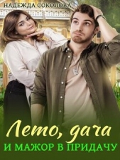 Лето, дача и мажор в придачу (СИ) - автор Соколова Надежда Игоревна 