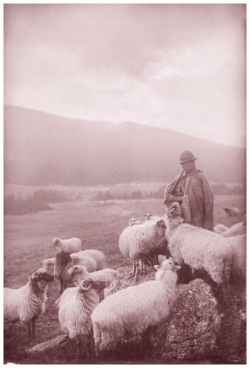 Румынские мифы. От вырколаков и фараонок до Мумы Пэдурий и Дракулы - i_047.jpg