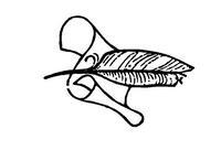 Поэзия вагантов - i_001.jpg