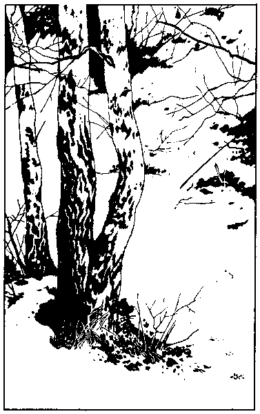 Лога - img_10.png