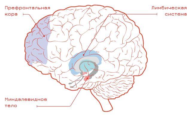 Стратегическое мышление в бизнесе. Технология «Векторное кольцо» - i_002.jpg