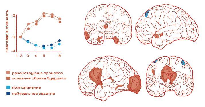 Стратегическое мышление в бизнесе. Технология «Векторное кольцо» - i_004.jpg