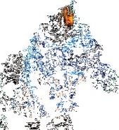 Замуж за короля? Ни за что! (СИ) - автор Соломахина Анна 