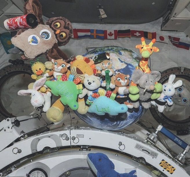 Есть ли жизнь на МКС? - i_013.jpg