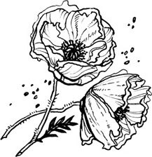 Посмотри, наш сад погибает - i_028.jpg