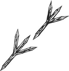 Посмотри, наш сад погибает - i_030.jpg