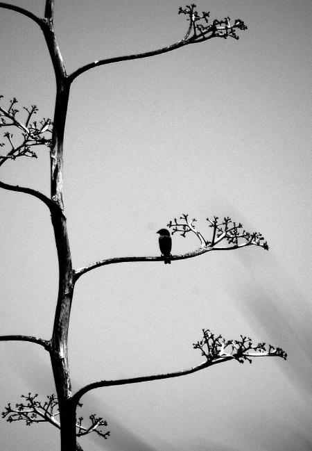 Франция. Магический шестиугольник - img_116