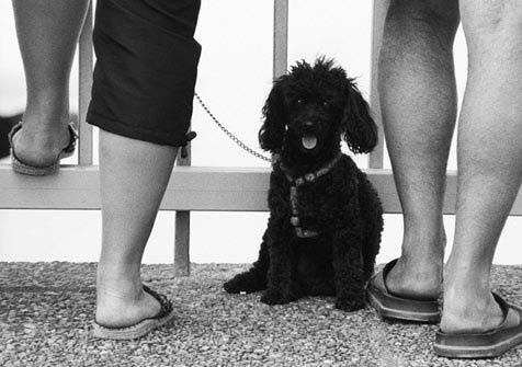 Франция. Магический шестиугольник - img_124