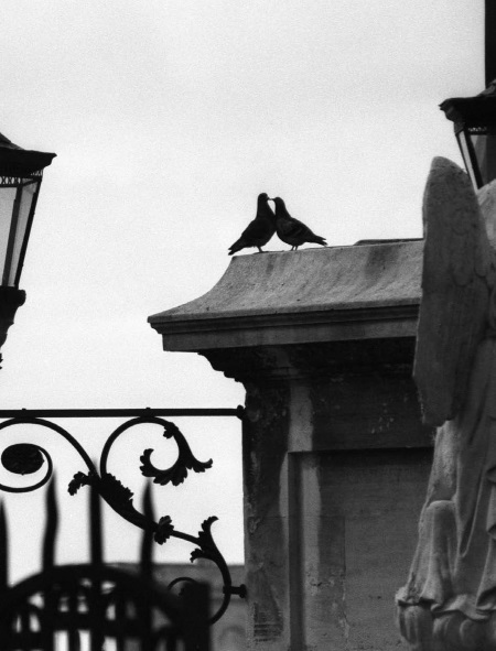 Франция. Магический шестиугольник - img_163