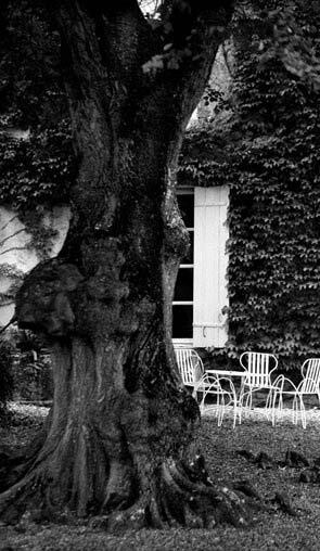 Франция. Магический шестиугольник - img_76