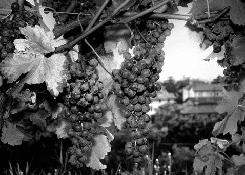 Франция. Магический шестиугольник - img_103