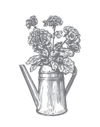 Красавицы Бостона. Охотник - i_001.jpg