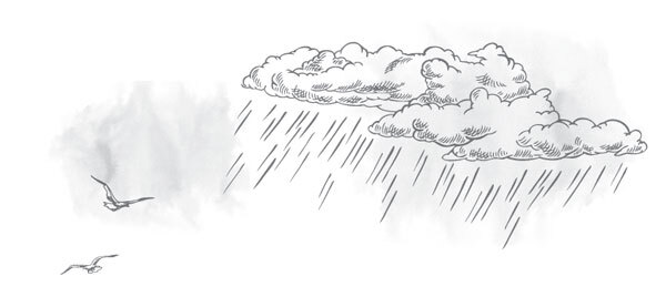 Красавицы Бостона. Охотник - i_005.jpg