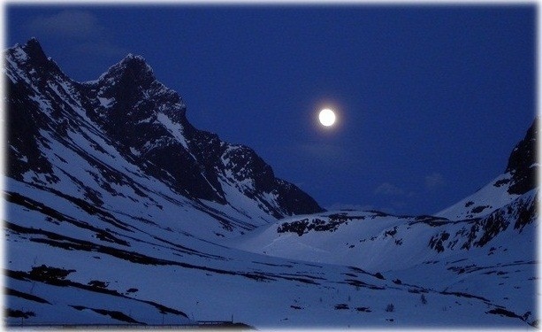 Невеста волка (СИ) - img_1