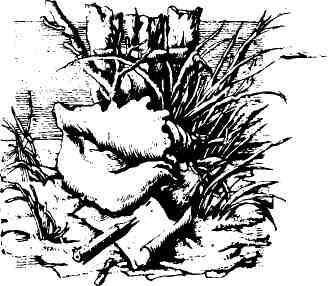 Небесные всадники - img_14.jpeg