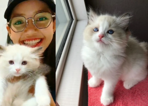 Раз айдол, два айдол...(СИ) - img_94