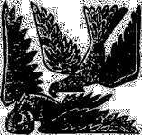 Сказки народов СССР - _90.jpg