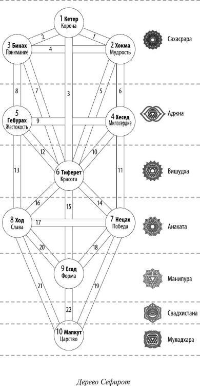 Вертикальная воля + Трансерфинг реальности. Ступень 1. Пространство вариантов - i_005.jpg