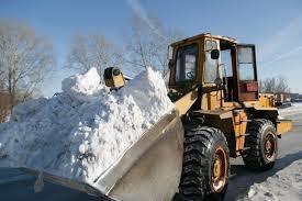 Лалиса и её друзья (СИ) - img_152