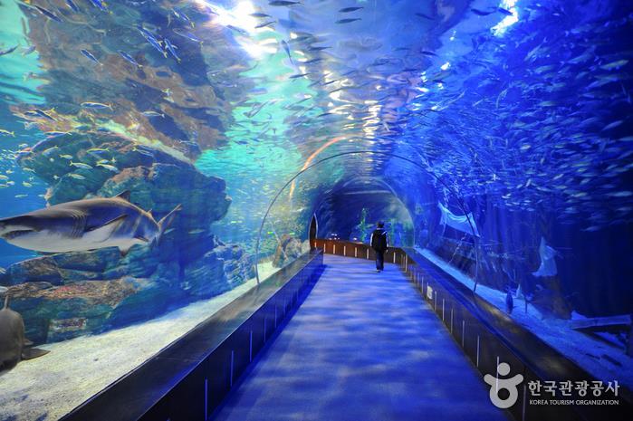 Лалиса и её друзья (СИ) - img_52