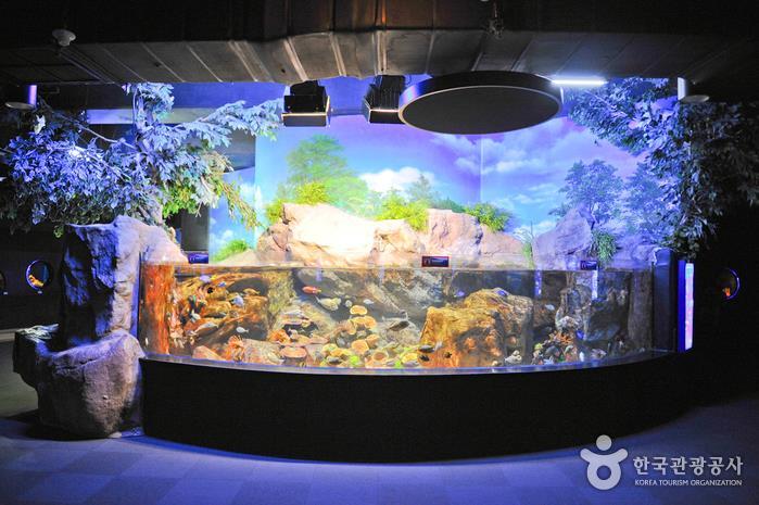 Лалиса и её друзья (СИ) - img_53