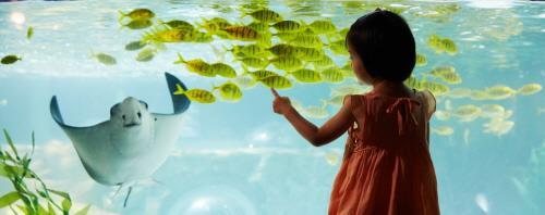 Лалиса и её друзья (СИ) - img_55