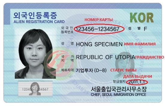 Приключение в Корее (СИ) - img_4