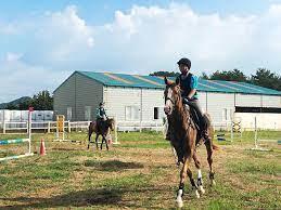 Приключение в Корее (СИ) - img_206