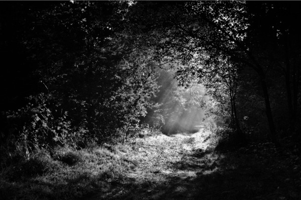 О чём молчали города. Мистические истории - img_13