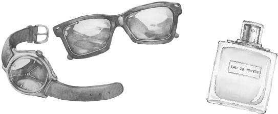 Красавицы Бостона. Злодей - i_008.jpg