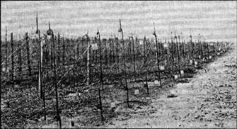 Техника и вооружение 2002 05 - pic_91.jpg