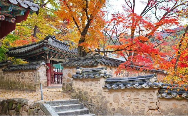 Косплей Сергея Юркина. Сакура-ян (СИ) - img_2