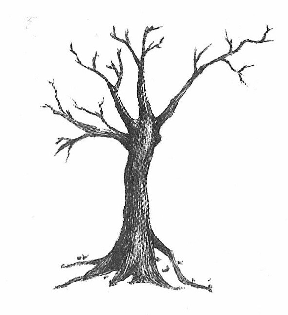 Алиса в Стране Чудес - _11.jpg