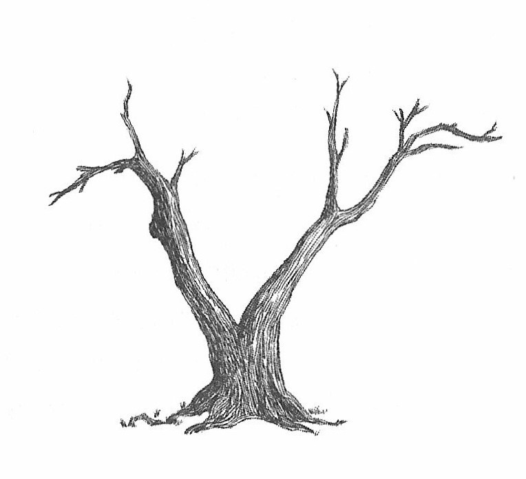 Алиса в Стране Чудес - _18.jpg