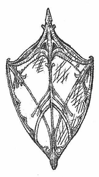 Алиса в Стране Чудес - _33.jpg