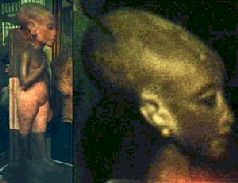 Цивилизация древних богов Египта - pic_192.jpg