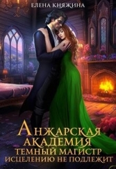 Анжарская академия. Темный магистр исцелению не подлежит (СИ) - автор Княжина Елена 