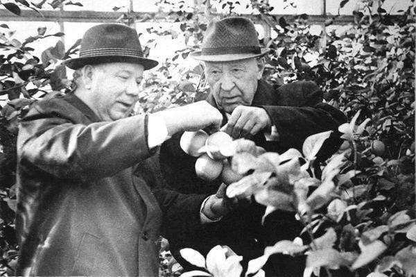 Индустриализация (СИ) - img_4