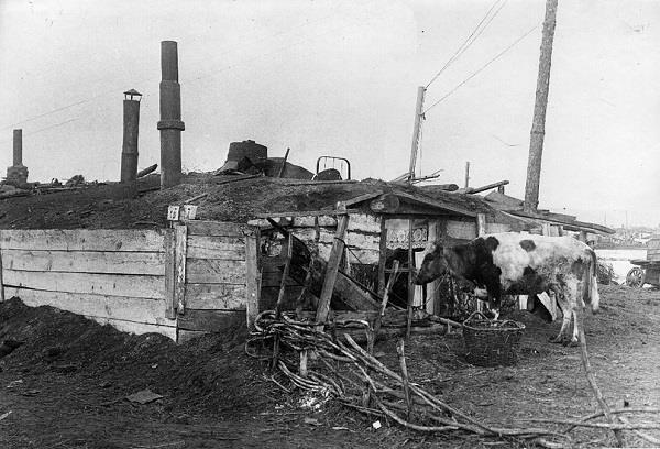 Индустриализация (СИ) - img_56